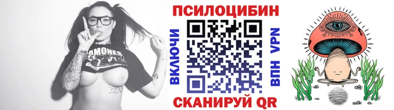МЕГА зеркало  Могоча  Псилоцибиновые грибы Psilocybe 